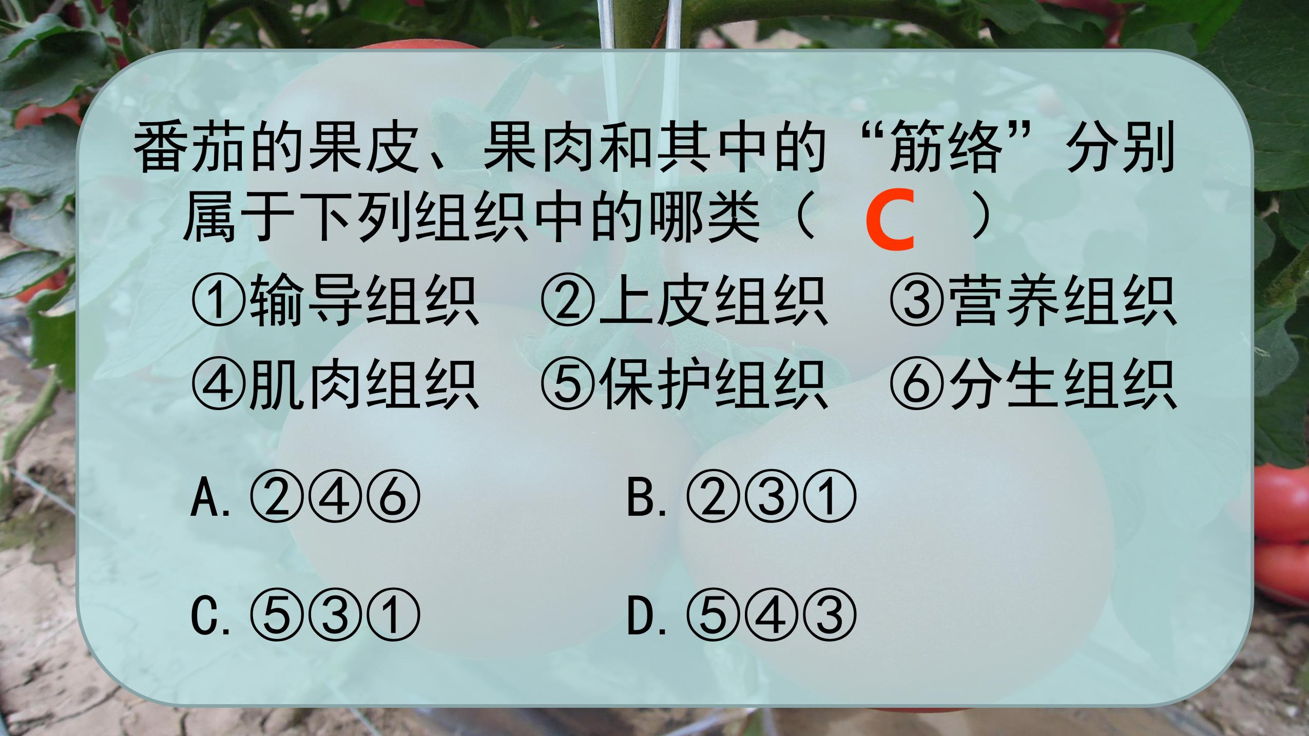 29.jpg