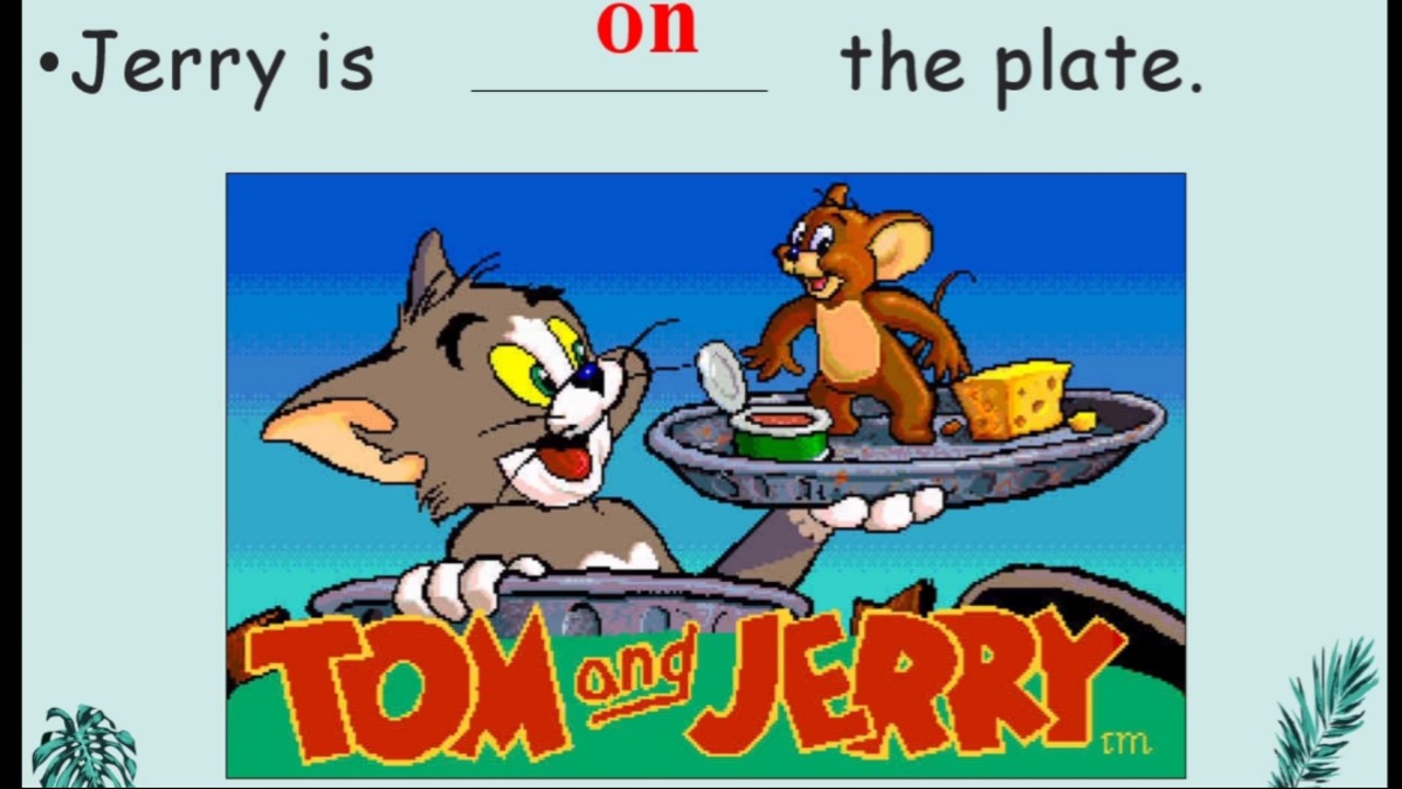 24.jpg