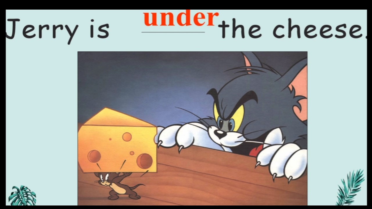 26.jpg