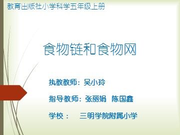 吴小玲 食物链和食物网 