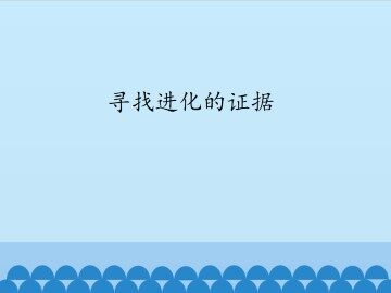 寻找进化的证据_课件1