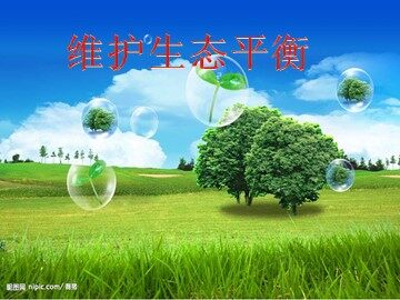 8.维护生态平衡