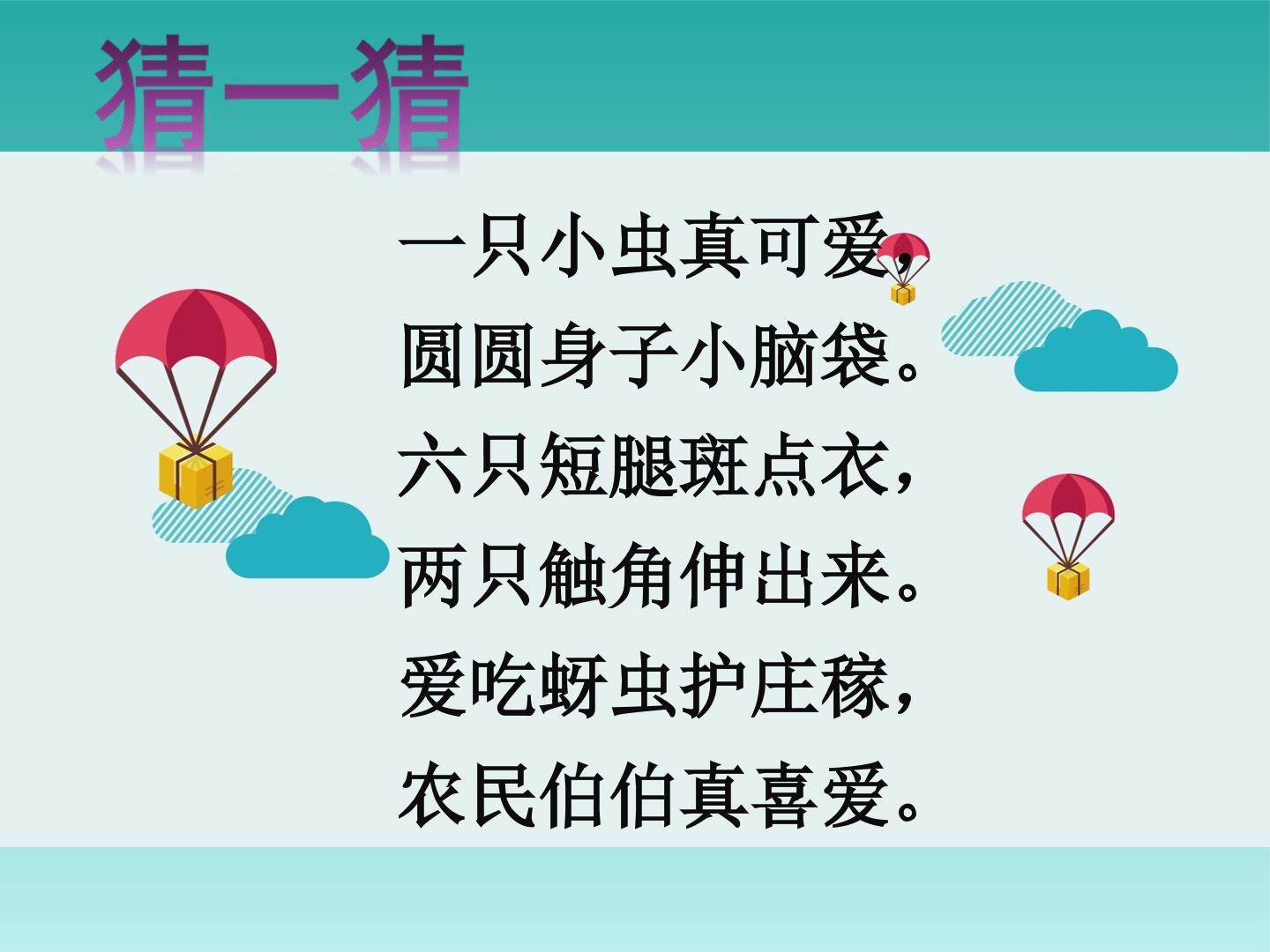 瓢虫的花衣裳