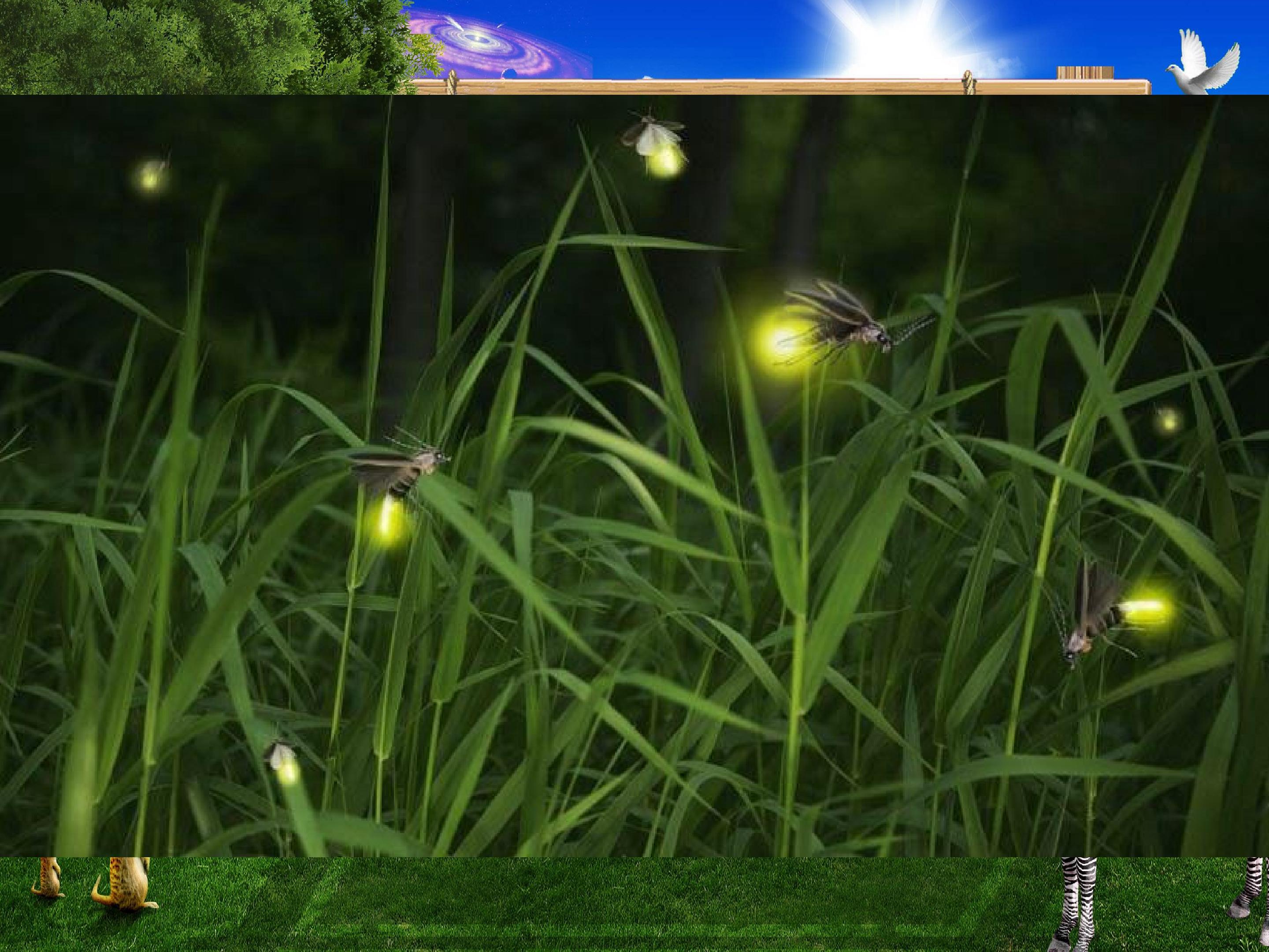 30.jpg