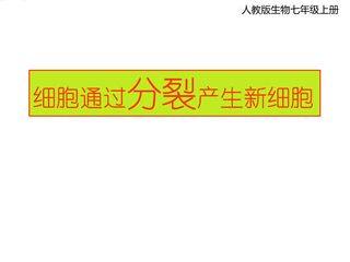 《细胞通过分裂产生新细胞》