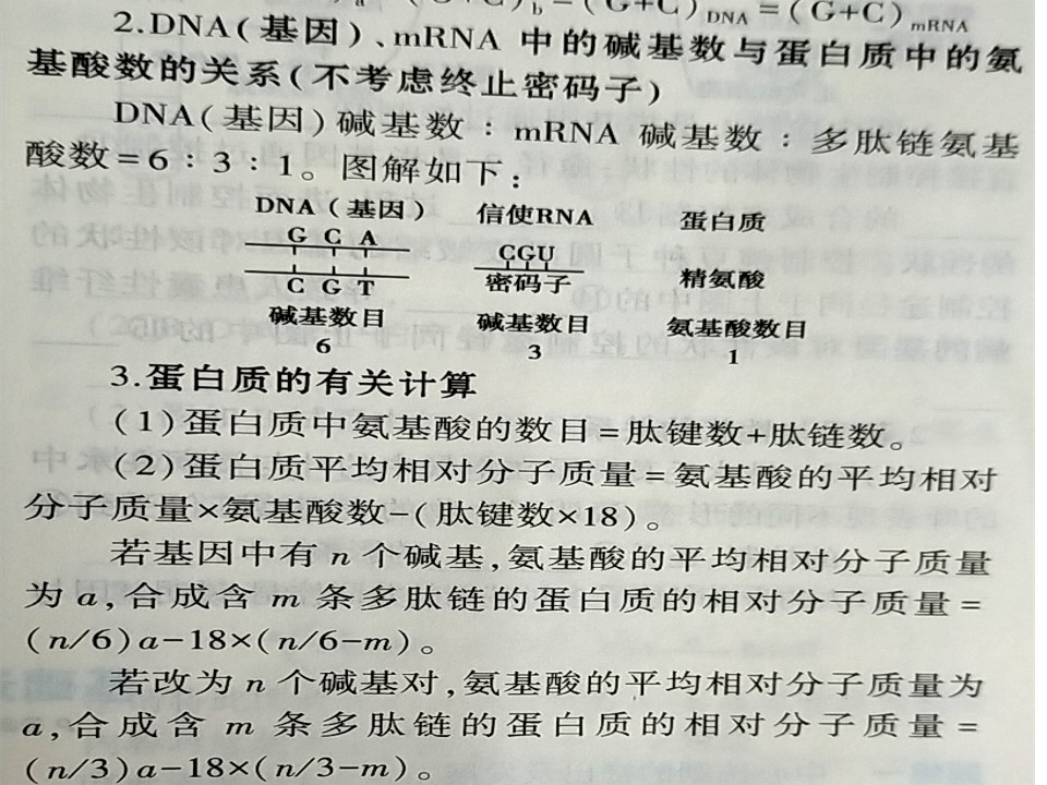 64.jpg