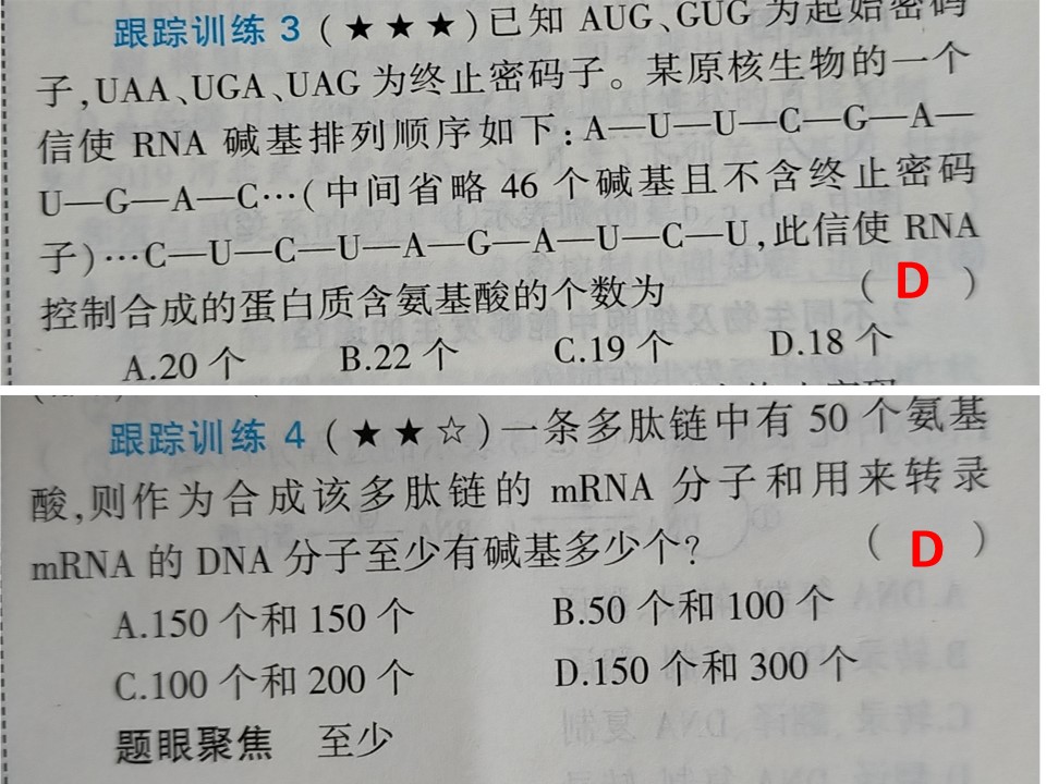 65.jpg