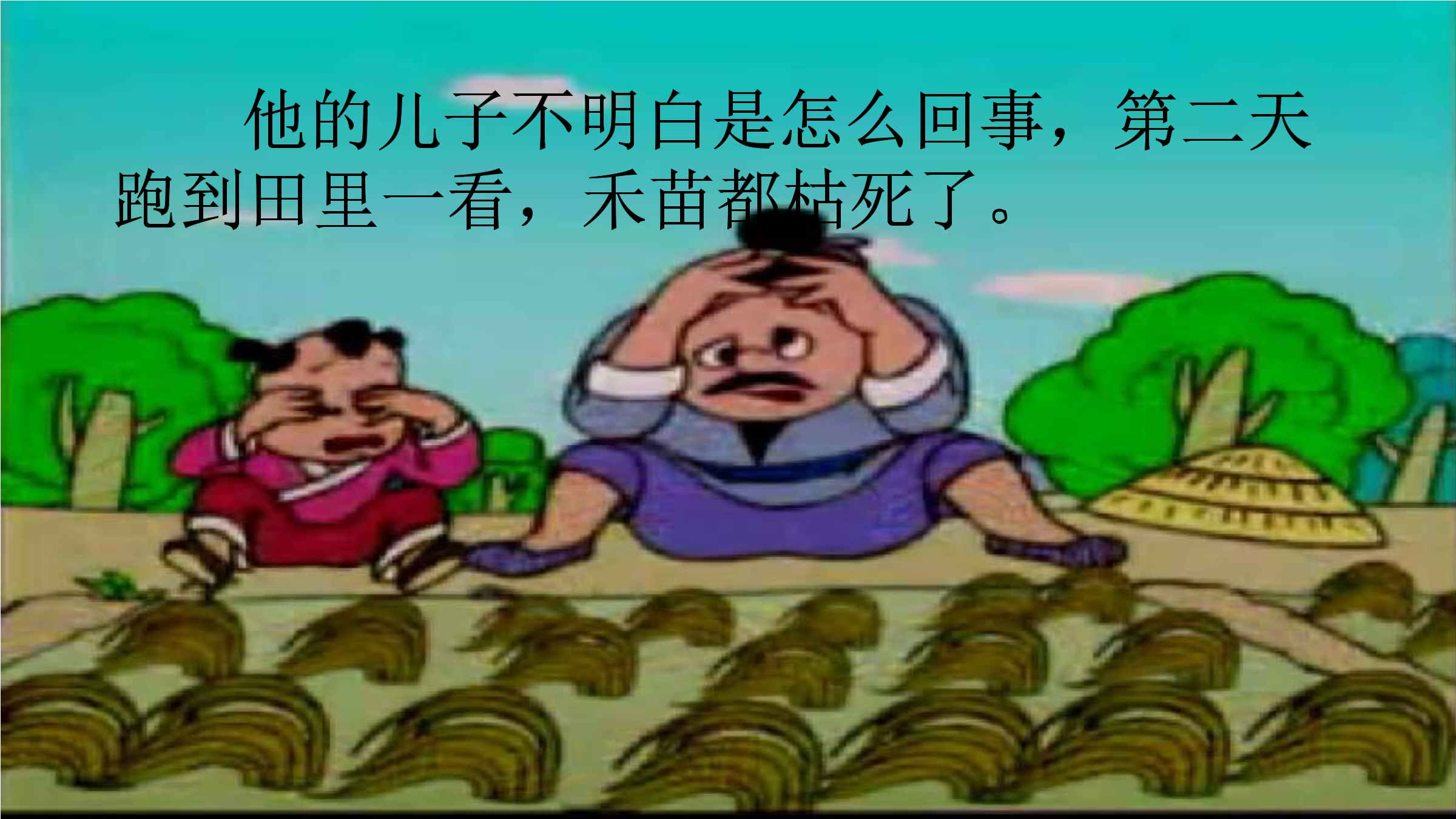 25.jpg