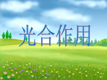 光合作用_课件1