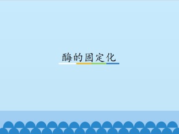 酶的固定化_课件1