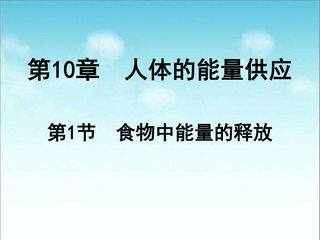 食物中能量的释放