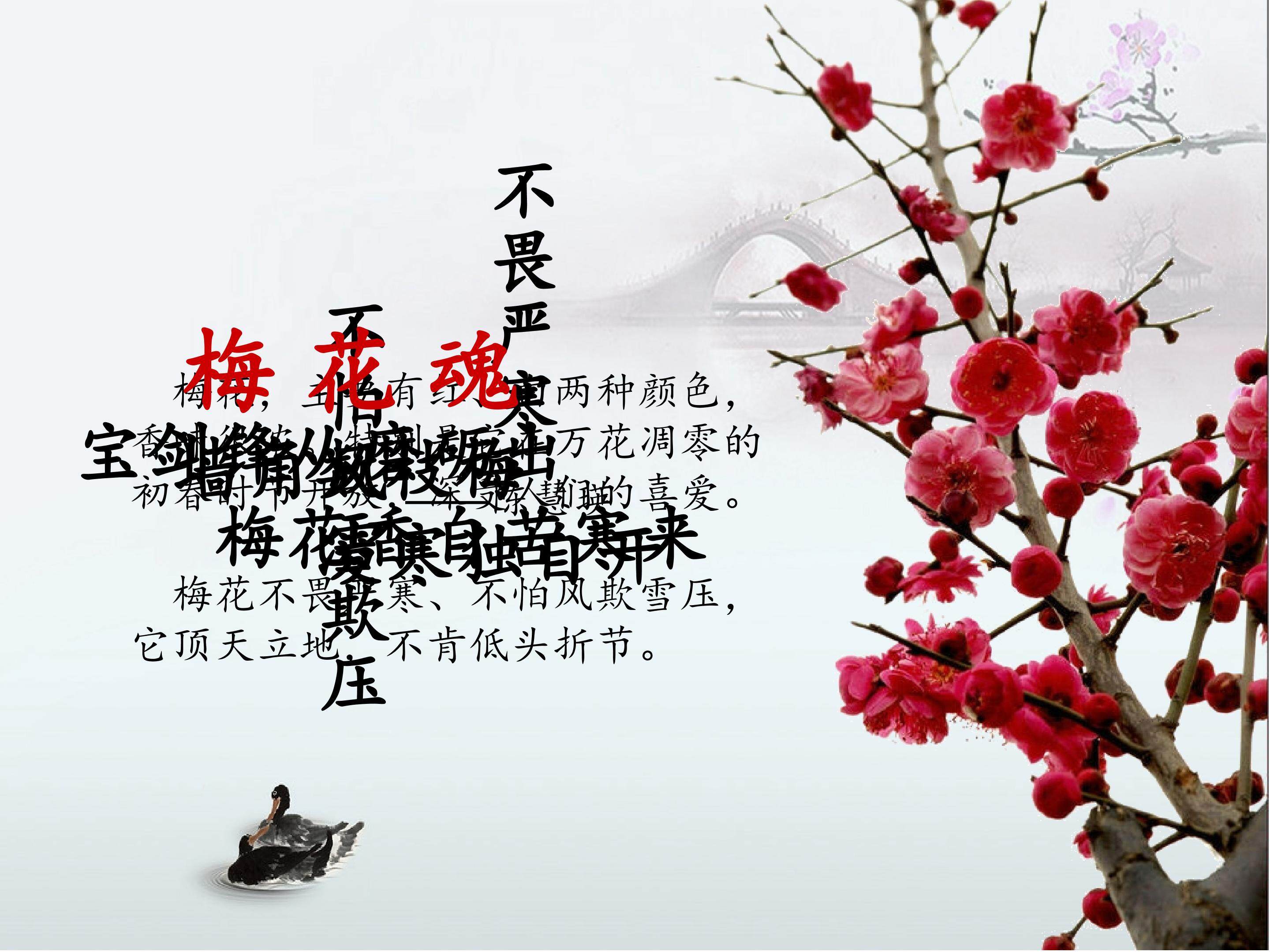 梅花魂