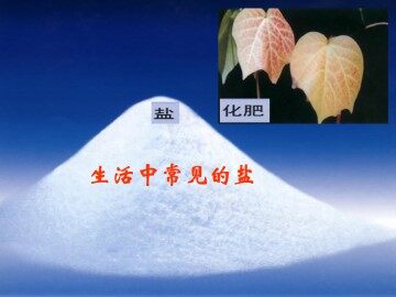 生活中常见的盐_课件1