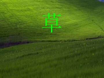 草_课件4