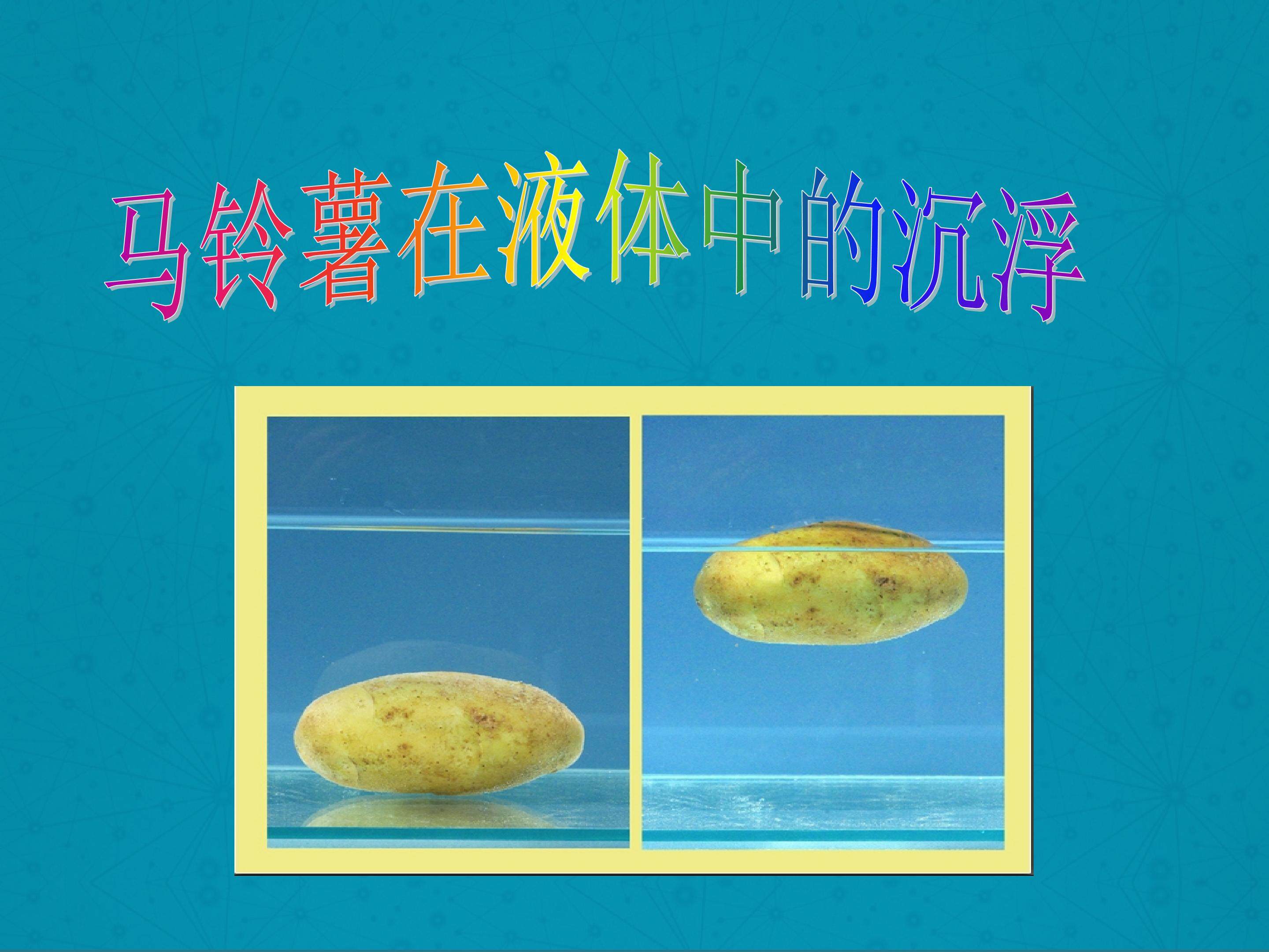 马铃薯在液体中的沉浮
