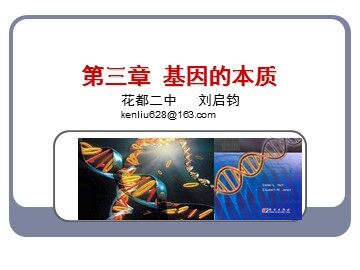 生物高中必修2第三章第三节课件5