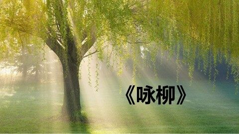 咏柳