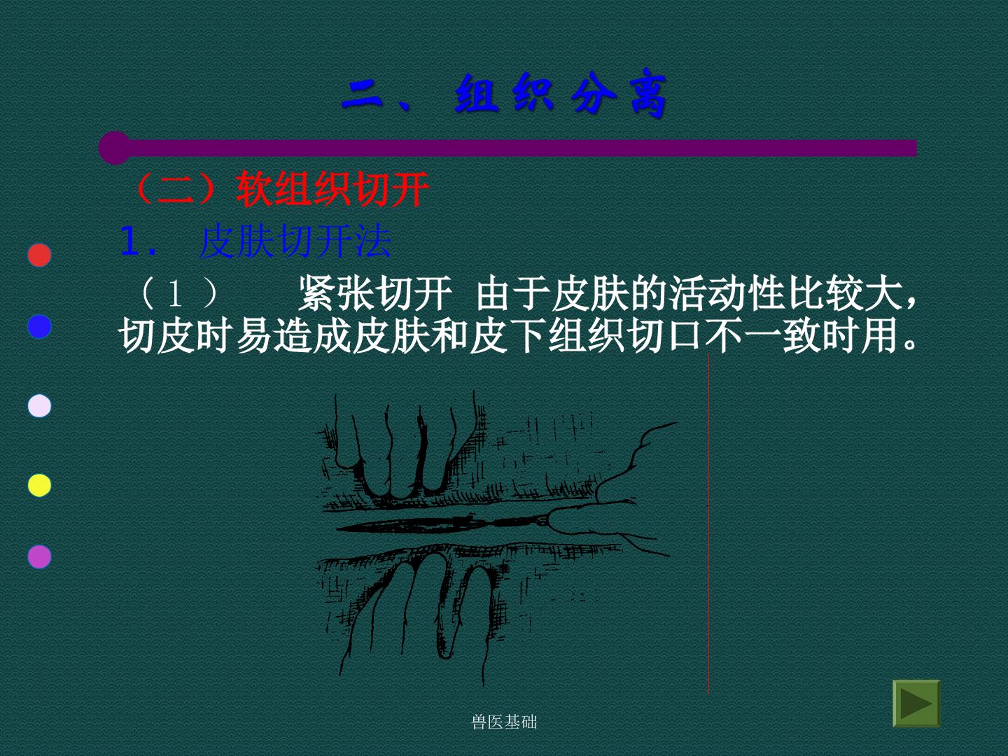34.jpg