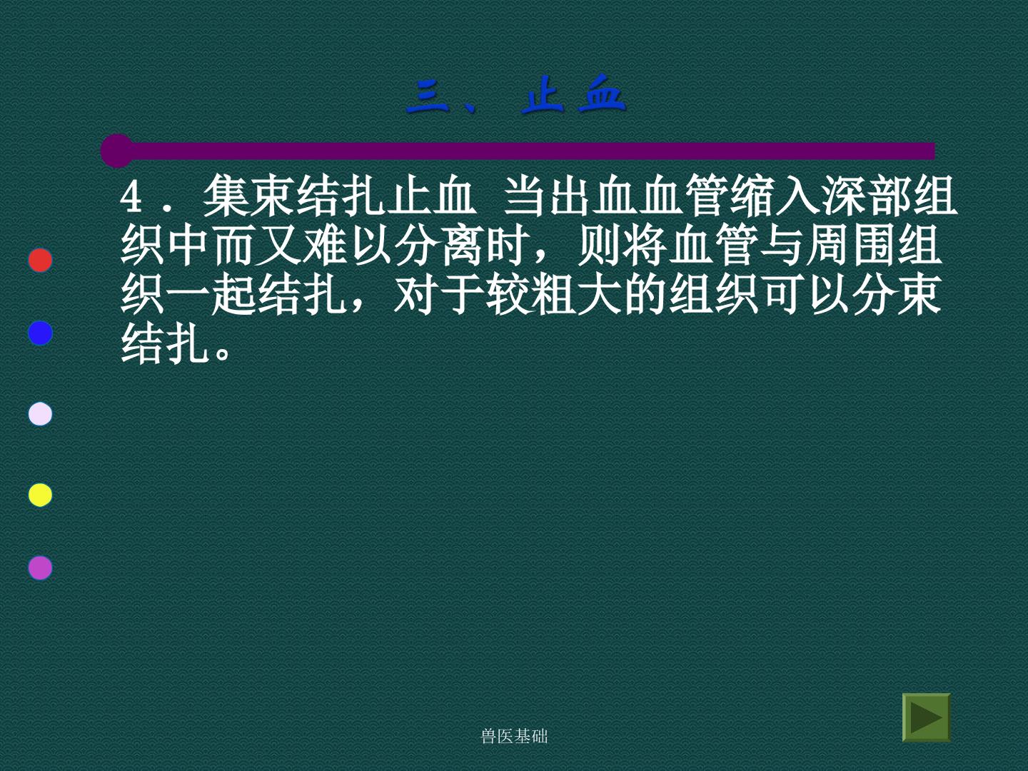 48.jpg