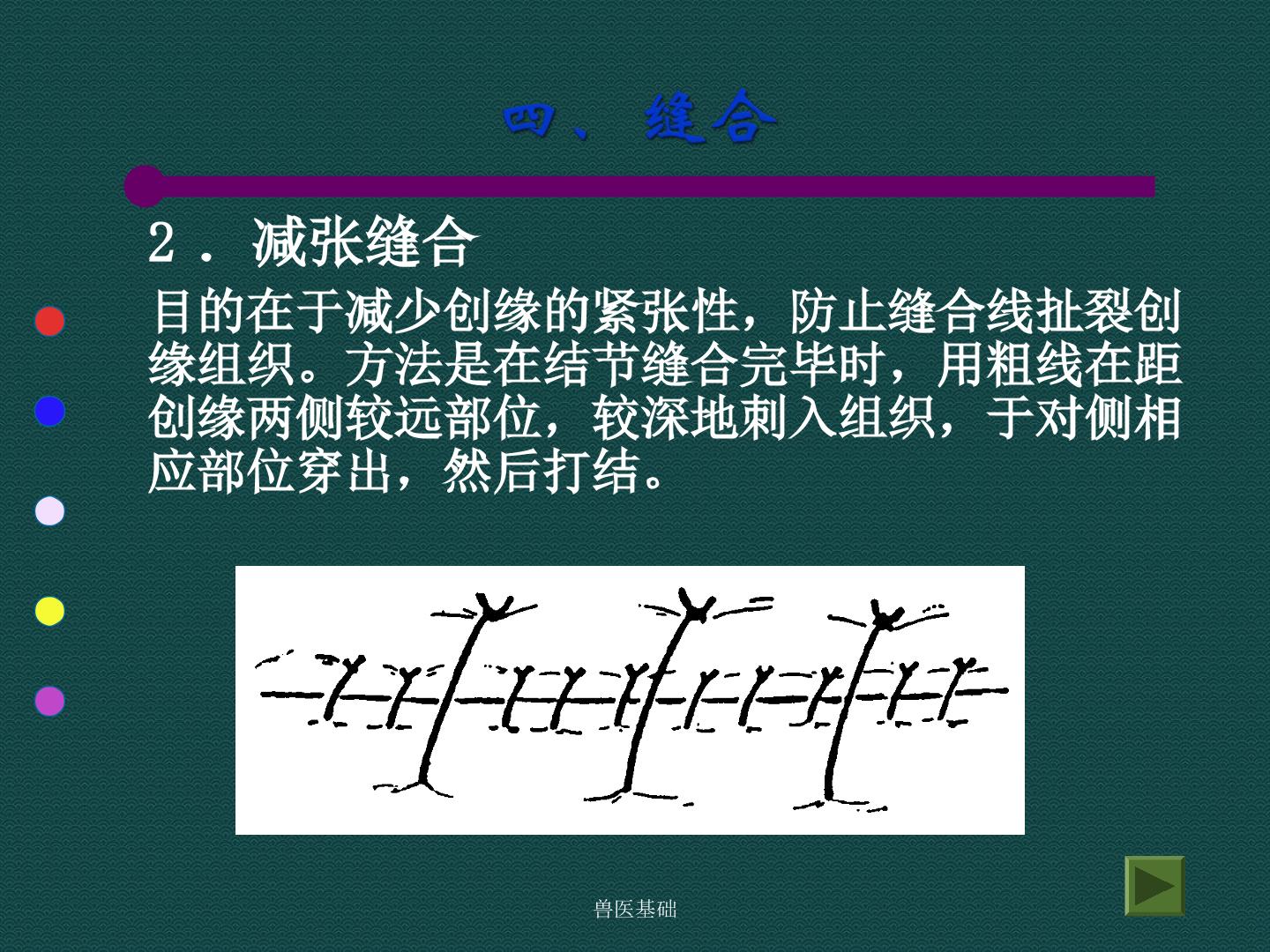 61.jpg