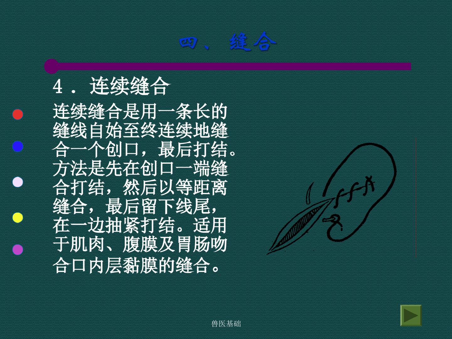 63.jpg