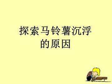 《探索马铃薯沉浮的原因》课件3