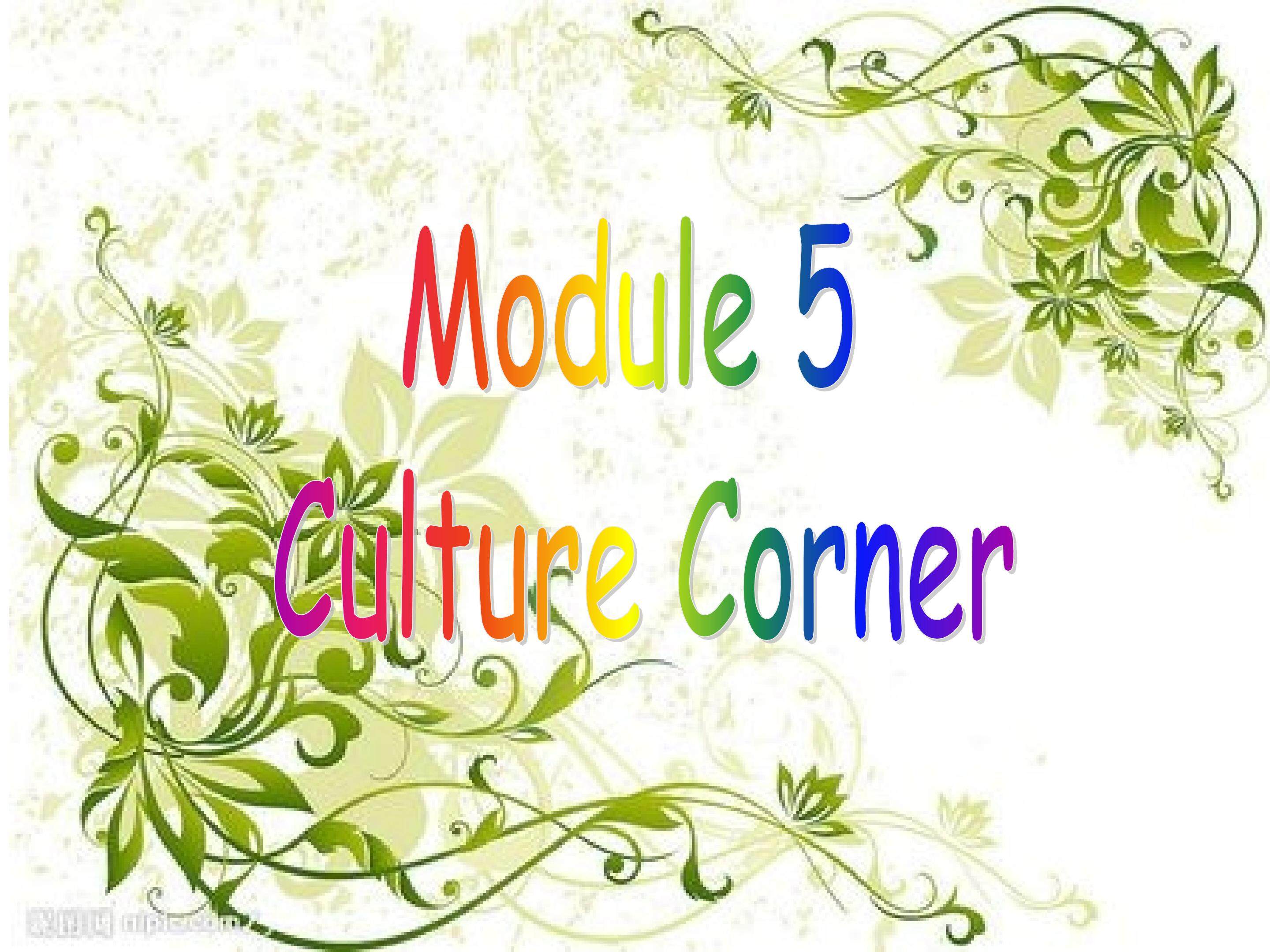 必修4Module 5 Cultural Corner