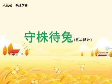 守株待兔