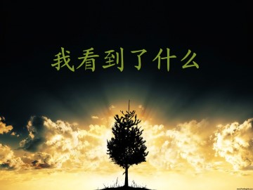 我看到了什么_课件1