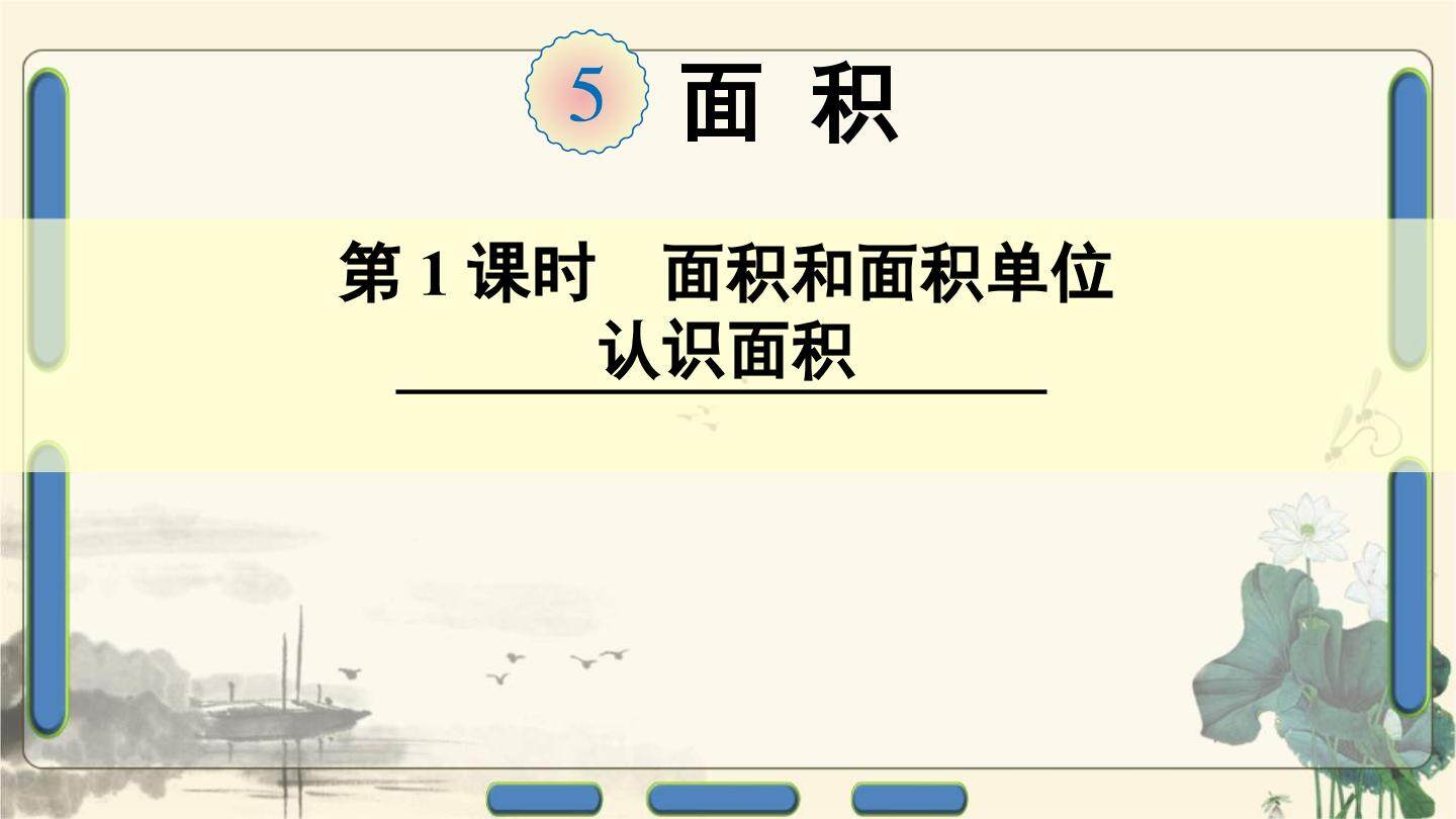 认识面积