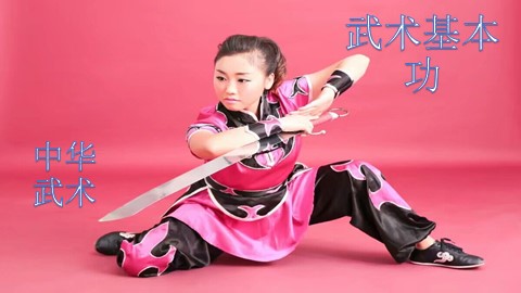 第一节  武术基本功