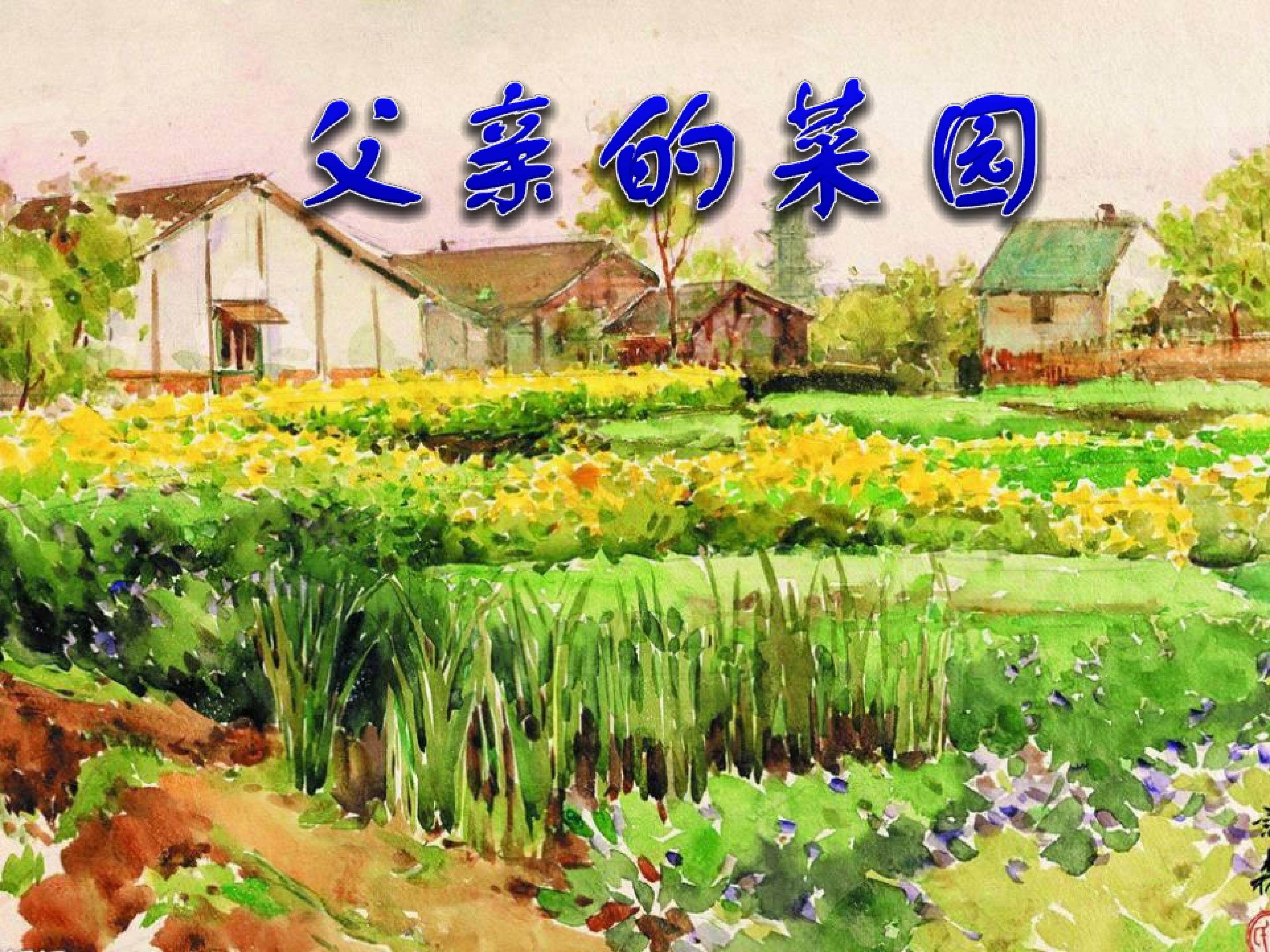 父亲的菜园1