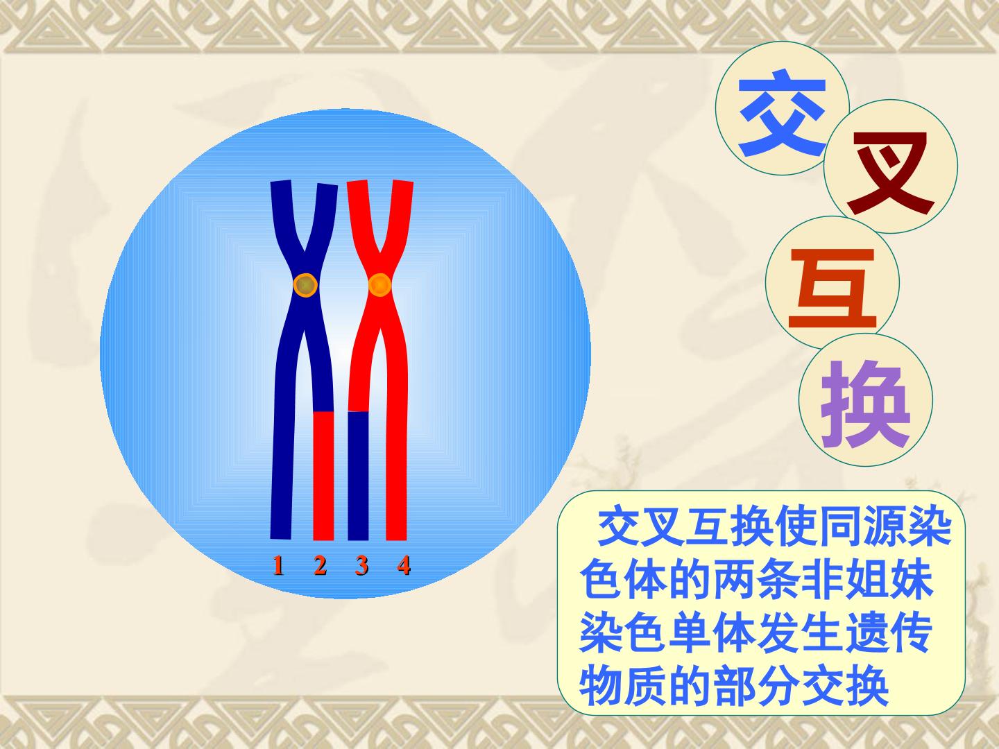 168.jpg