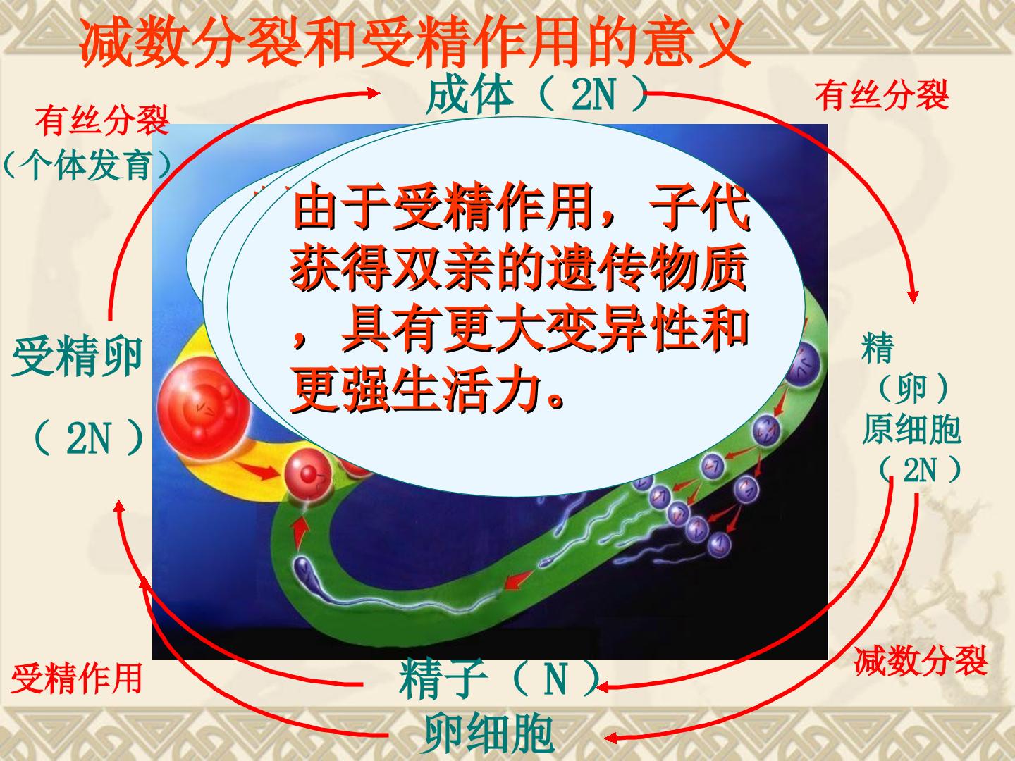 191.jpg
