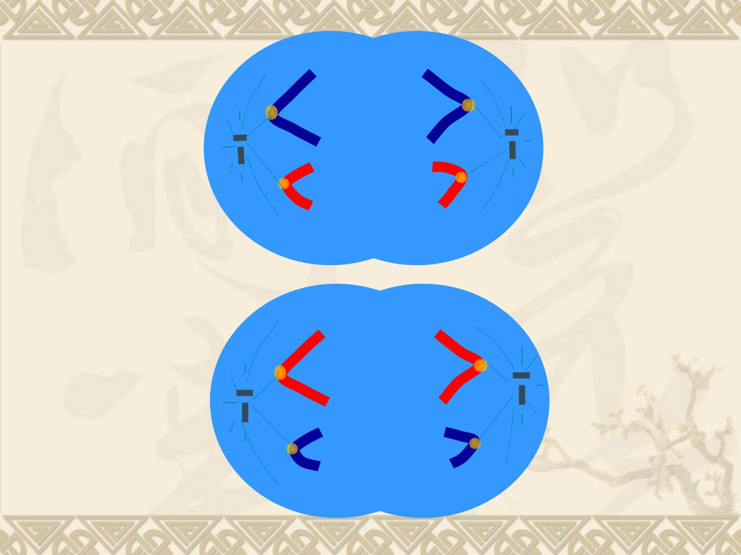 67.jpg