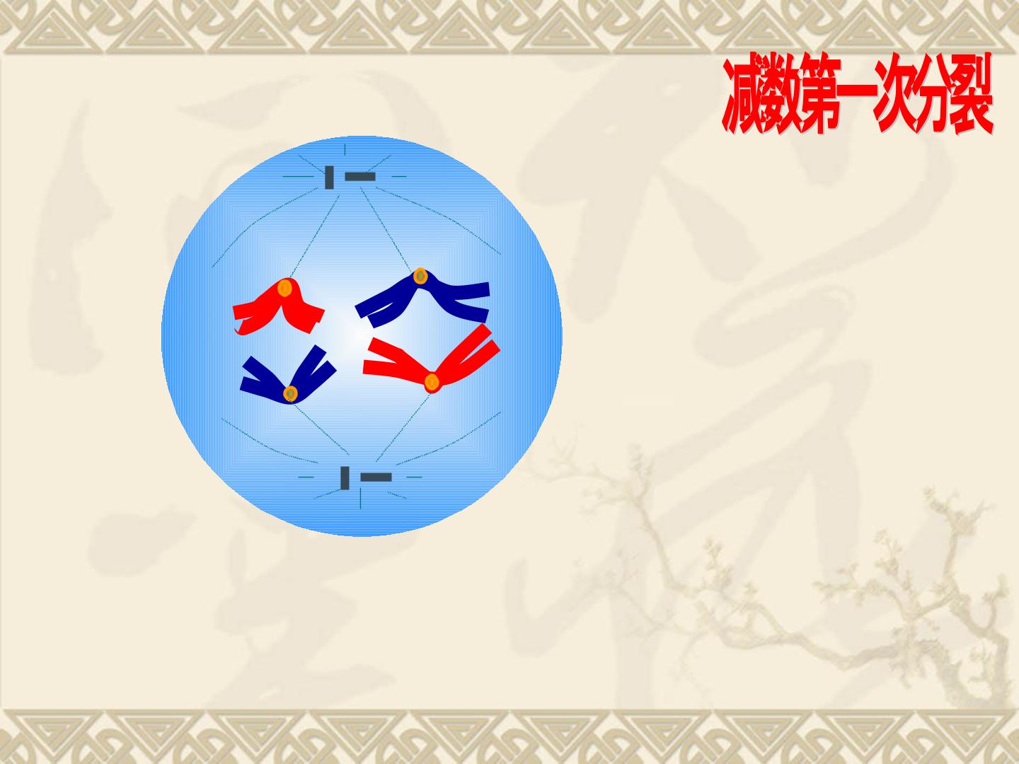 98.jpg