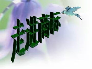 活动二  关注社区安全、让生活更精彩