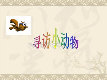 寻访小动物_课件1