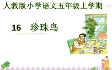 16* 珍珠鸟