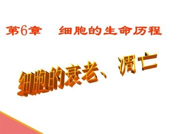 第3节  细胞的衰老和凋亡