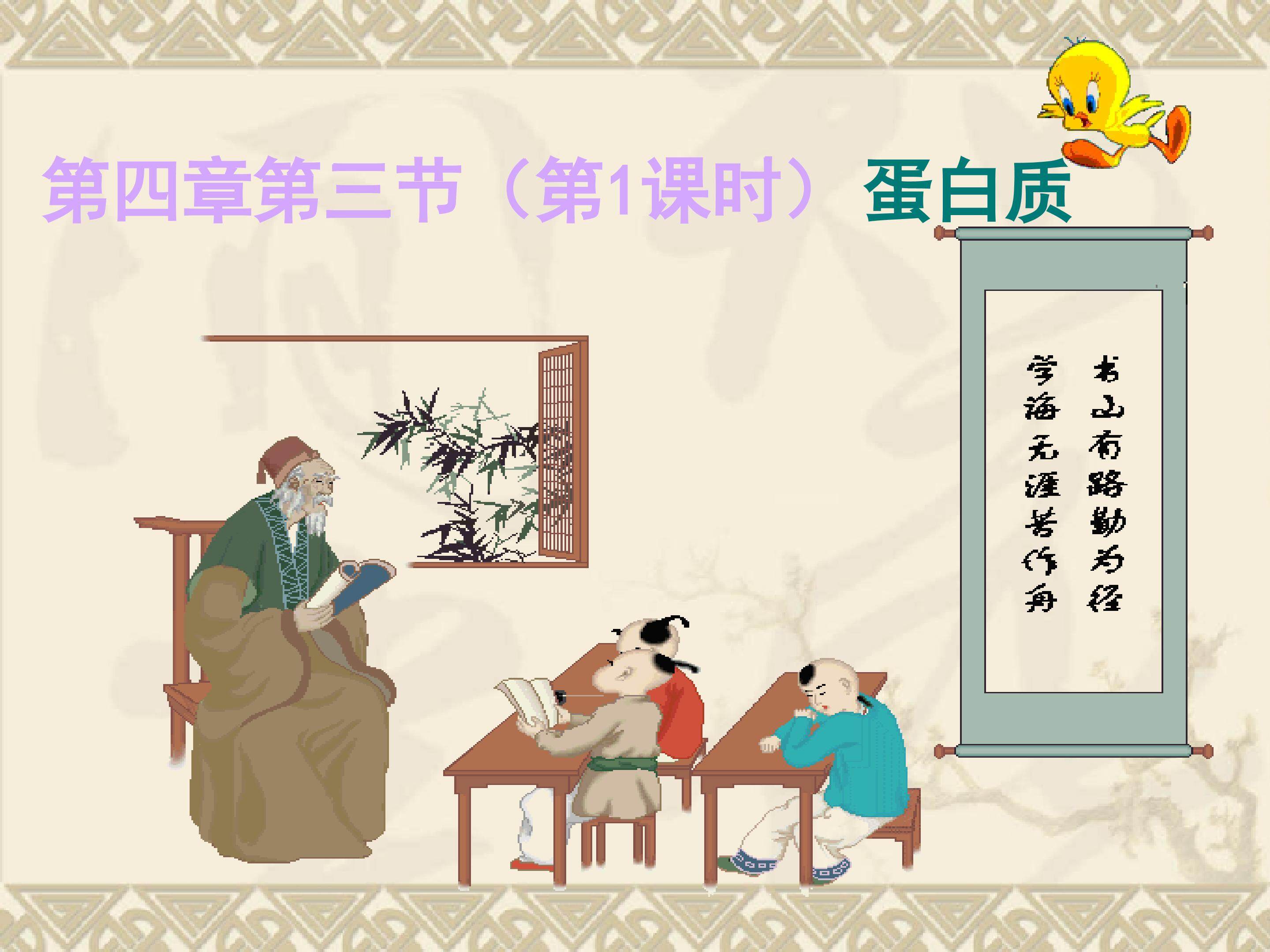 蛋白质