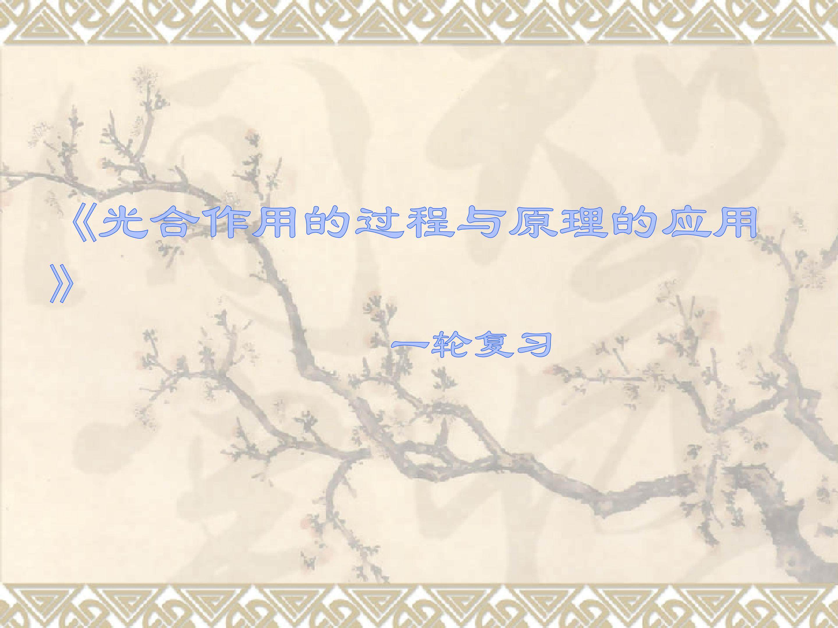 光合作用的过程与原理的应用