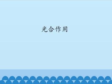 光合作用_课件1