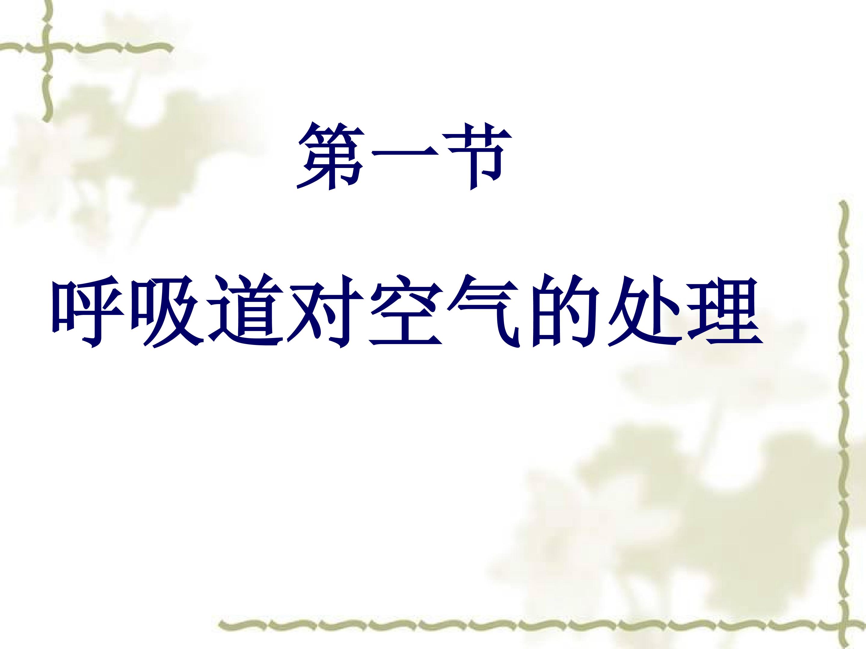 呼吸道对空气的处理