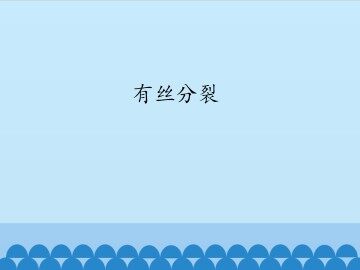 有丝分裂_课件1
