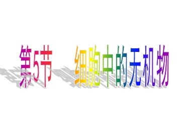 生物高中必修1第二章第五节课件2