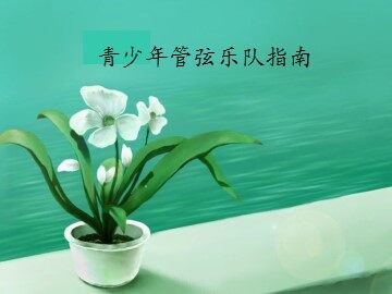 青少年管弦乐队指南_课件1
