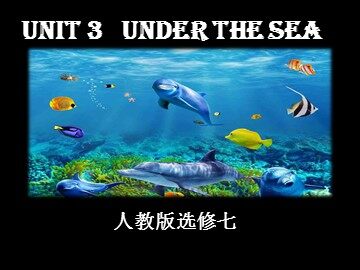 Unit 3 Under the sea
