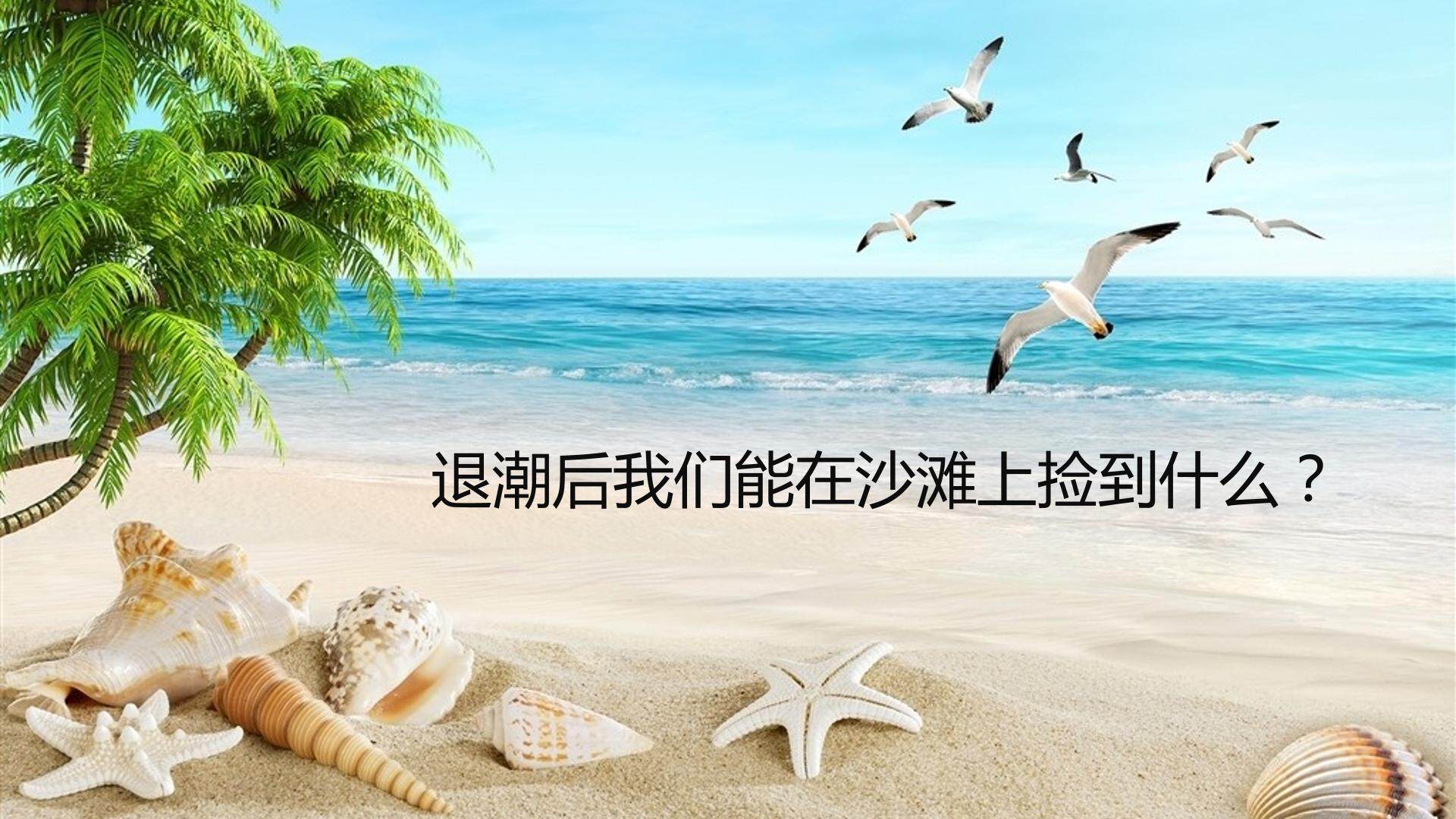 贝壳之歌