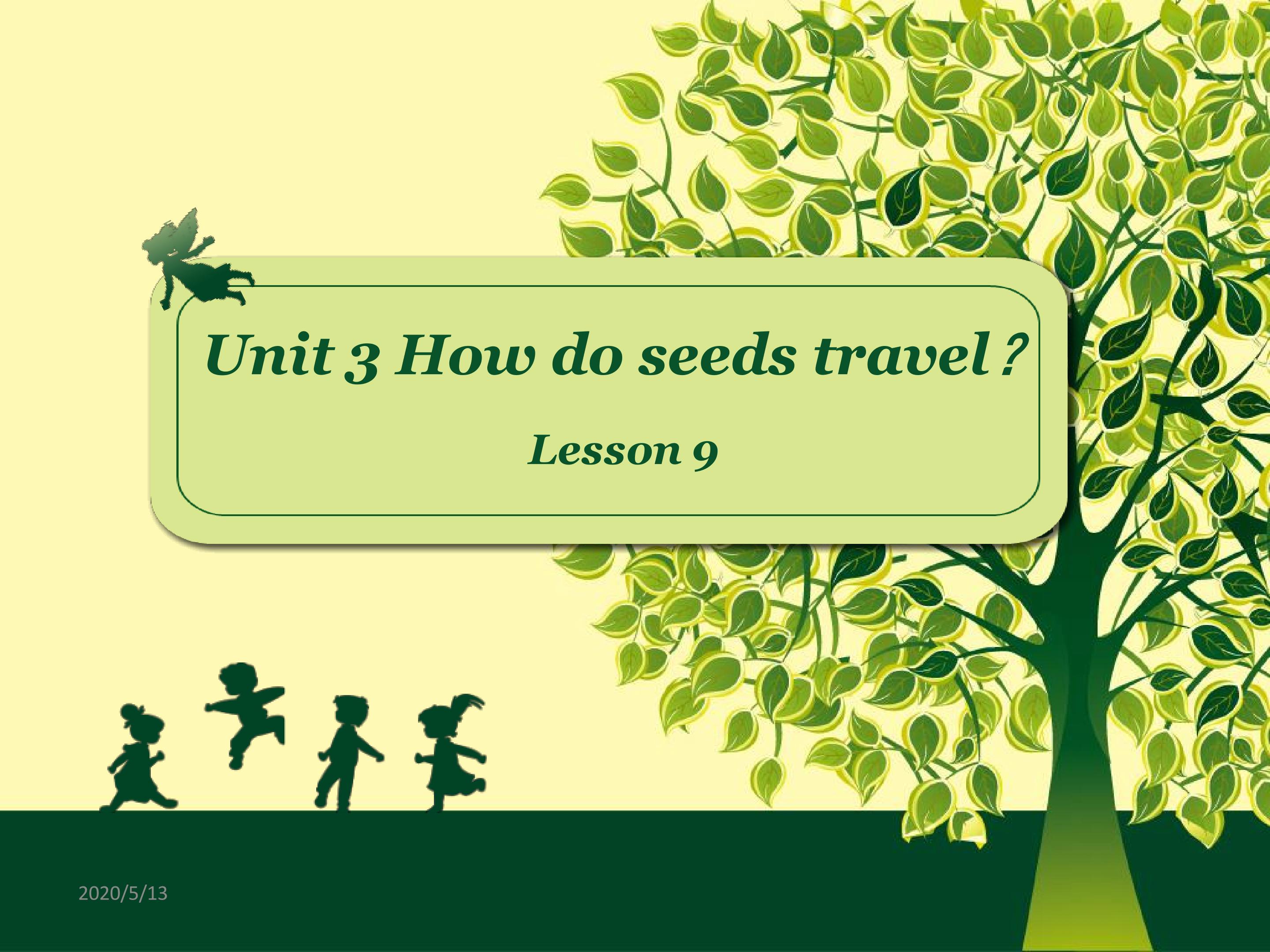 lesson 9 How do seeds t